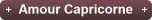 Amour Capricorne